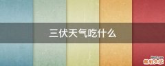 三伏天气吃什么