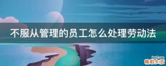 不服从管理的员工怎么处理劳动法