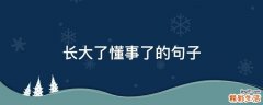 长大了懂事了的句子