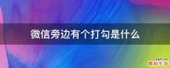 微信旁边有个打勾是什么
