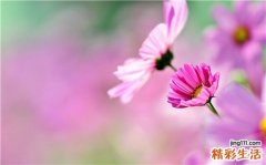 2 全套教学视频：八十八式太极拳