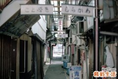 3 白栎蔀