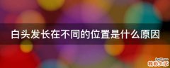 白头发长在不同的位置是什么原因