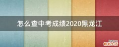 怎么查中考成绩2020黑龙江