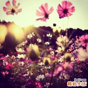 三伏天孕妇要注意什么