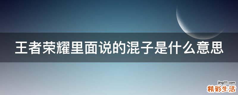 王者荣耀里面说的混子是什么意思