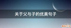 关于父与子的优美句子