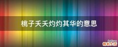 桃子夭夭灼灼其华的意思
