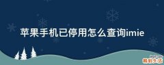 苹果手机已停用怎么查询imie