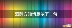 酒醉方知情意浓下一句