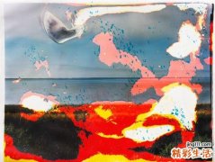 2 多吃有机油麦菜 清燥润肺降低胆固醇