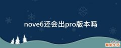 nove6还会出pro版本吗
