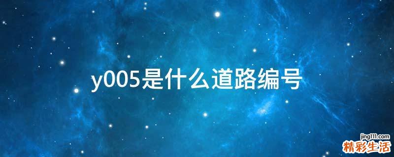 y005是什么道路编号