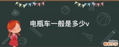 电瓶车一般是多少v
