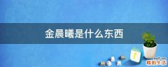 金晨曦是什么东西