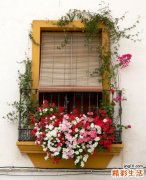 鹿茸该怎么吃