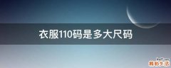 衣服110码是多大尺码