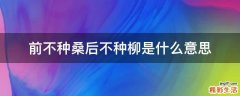 前不种桑后不种柳是什么意思