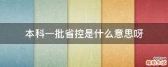 本科一批省控是什么意思呀