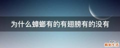为什么蟑螂有的有翅膀有的没有