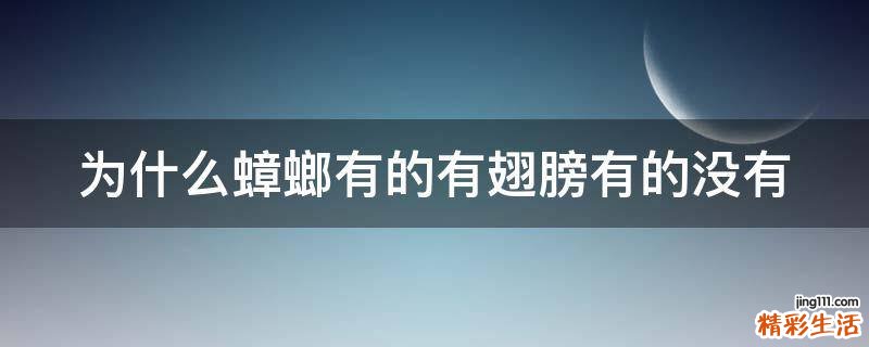 为什么蟑螂有的有翅膀有的没有