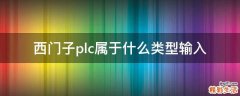 西门子plc属于什么类型输入