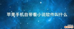 苹果手机自带看小说软件叫什么