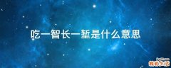 吃一智长一堑是什么意思