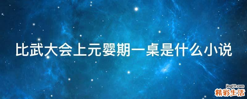 比武大会上元婴期一桌是什么小说