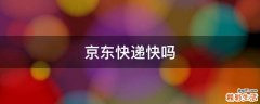 京东快递快吗