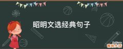 昭明文选经典句子