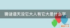 猜谜语天没它大人有它大是什么字