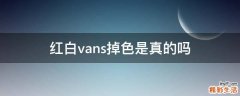 红白vans掉色是真的吗