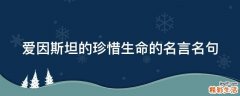 爱因斯坦的珍惜生命的名言名句