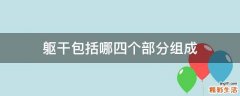 躯干包括哪四个部分组成