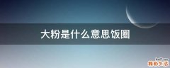 大粉是什么意思饭圈