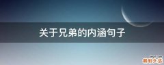 关于兄弟的内涵句子