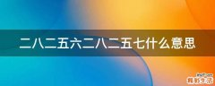 二八二五六二八二五七什么意思