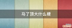 马了顶大什么梗