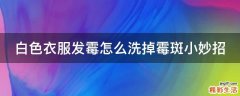 白色衣服发霉怎么洗掉霉斑小妙招