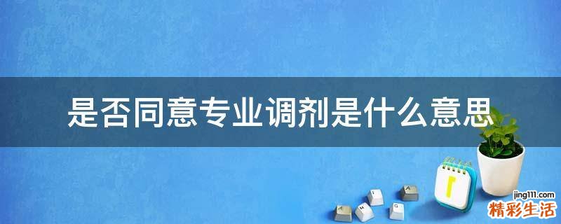 是否同意专业调剂是什么意思