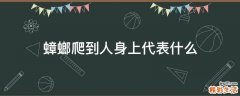 蟑螂爬到人身上代表什么