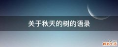 关于秋天的树的语录