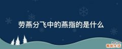 劳燕分飞中的燕指的是什么