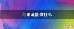 苹果渣能做什么