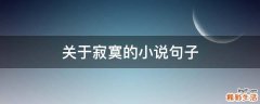 关于寂寞的小说句子