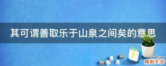 其可谓善取乐于山泉之间矣的意思