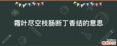 霜叶尽空枝肠断丁香结的意思