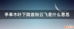 亭皋木叶下陇首秋云飞是什么意思