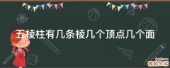 五棱柱有几条棱几个顶点几个面